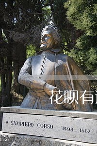 花呗有逾期记录还能办房贷吗 花呗有逾期记录还能办房贷吗