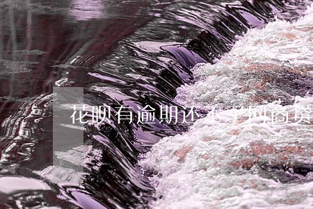 花呗有逾期还不了网商贷