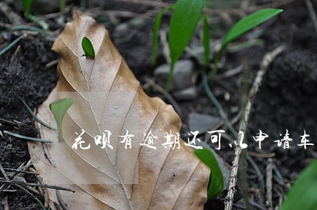 花呗有逾期还可以申请车贷么 花呗有逾期还可以申请车贷么