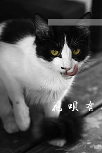 花呗有逾期还款记录 花呗有逾期还款记录