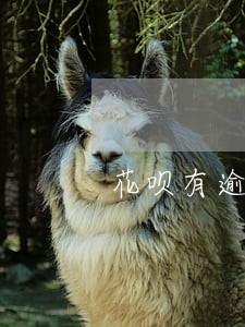 花呗有逾期还清后可以车贷吗 花呗有逾期还清后可以车贷吗
