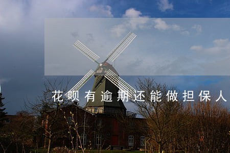 花呗有逾期还能做担保人吗