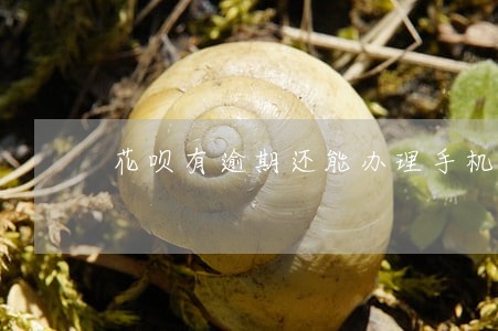 花呗有逾期还能办理手机分期吗