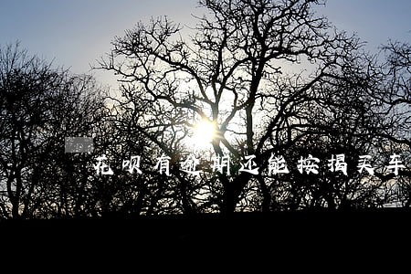 花呗有逾期还能按揭买车吗 花呗有逾期还能按揭买车吗