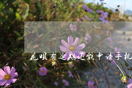 花呗有逾期还能申请手机贷吗