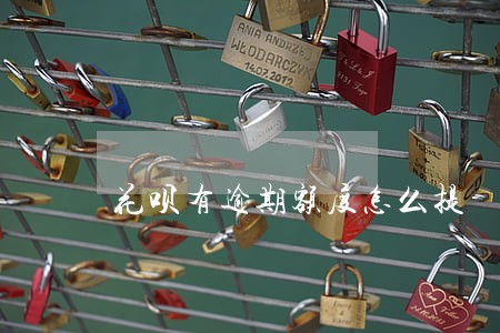 花呗有逾期额度怎么提 花呗有逾期额度怎么提