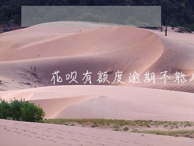 花呗有额度逾期不能用 花呗有额度逾期不能用
