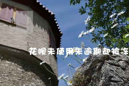 花呗未使用未逾期却被冻结 花呗未使用未逾期却被冻结