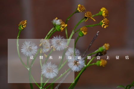 花呗未升级逾期会上征信吗 花呗未升级逾期会上征信吗