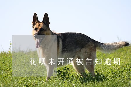 花呗未开通被告知逾期