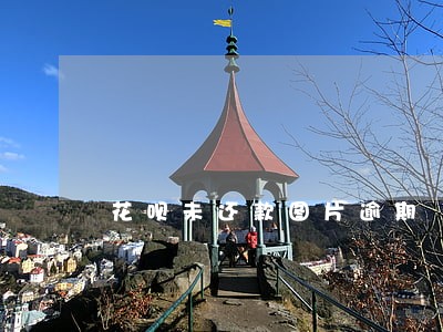 花呗未还款图片逾期 花呗未还款图片逾期