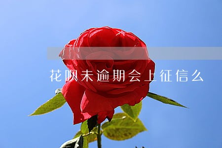花呗未逾期会上征信么 花呗未逾期会上征信么