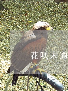 花呗未逾期但是冻结 花呗未逾期但是冻结