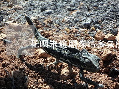 花呗未逾期冻结多久能恢复正常 花呗未逾期冻结多久能恢复正常