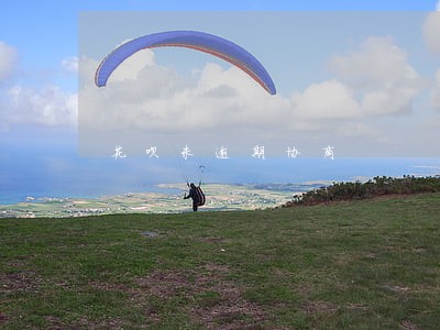 花呗未逾期协商 花呗未逾期协商