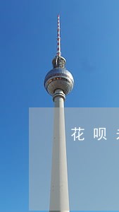 花呗未逾期影响车贷么 花呗未逾期影响车贷么
