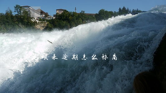 花呗未逾期怎么协商 花呗未逾期怎么协商