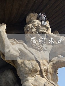 花呗未逾期打电话不接可以吗 花呗未逾期打电话不接可以吗