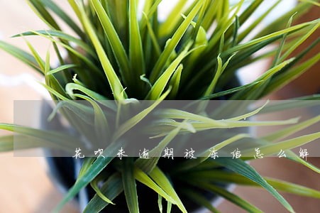花呗未逾期被冻结怎么解封 花呗未逾期被冻结怎么解封