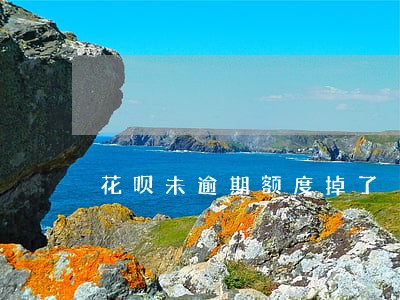 花呗未逾期额度掉了 花呗未逾期额度掉了