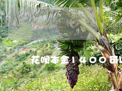 花呗本金1400可以逾期几天 花呗本金1400可以逾期几天