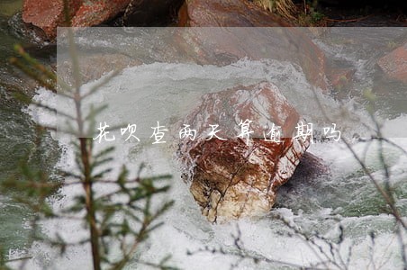 花呗查两天算逾期吗 花呗查两天算逾期吗