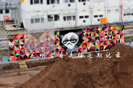 花呗查看过往逾期记录