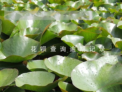 花呗查询逾期记录