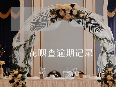 花呗查逾期记录 花呗查逾期记录
