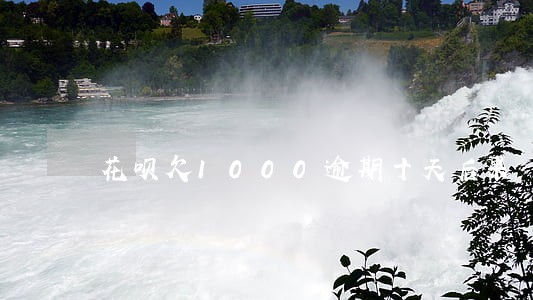 花呗欠1000逾期十天后果 花呗欠1000逾期十天后果