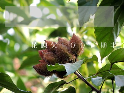 花呗欠100逾期半个月