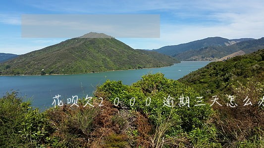 花呗欠2000逾期三天怎么办 花呗欠2000逾期三天怎么办