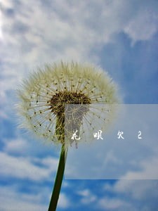 花呗欠250逾期五天 花呗欠250逾期五天