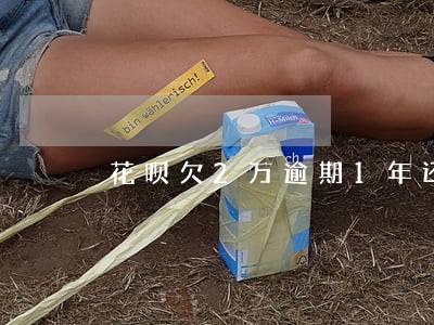 花呗欠2万逾期1年还清 花呗欠2万逾期1年还清
