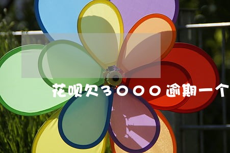 花呗欠3000逾期一个月多少 花呗欠3000逾期一个月多少