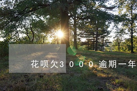花呗欠3000逾期一年 花呗欠3000逾期一年