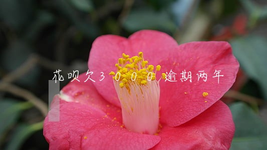 花呗欠3000逾期两年