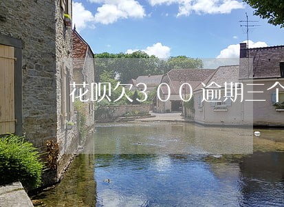 花呗欠300逾期三个月