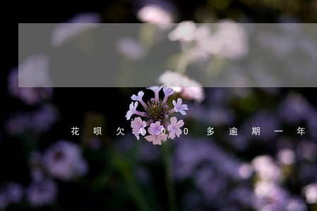花呗欠400多逾期一年 花呗欠400多逾期一年