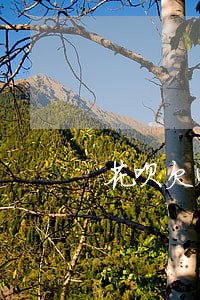 花呗欠400逾期三个月 花呗欠400逾期三个月