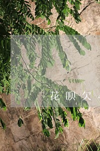 花呗欠40逾期一周有影响吗