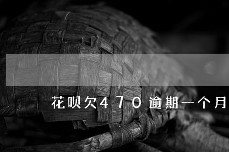 花呗欠470逾期一个月
