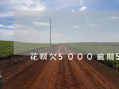 花呗欠5000逾期5年 花呗欠5000逾期5年