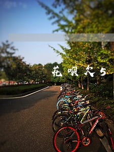 花呗欠5000逾期四年 花呗欠5000逾期四年