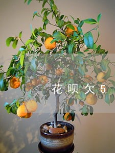 花呗欠500逾期三个月 花呗欠500逾期三个月