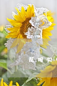 花呗欠500逾期两个月上门 花呗欠500逾期两个月上门