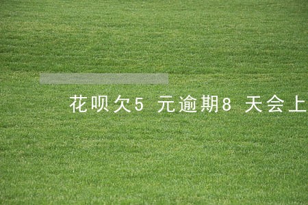 花呗欠5元逾期8天会上征信么 花呗欠5元逾期8天会上征信么