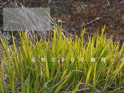 花呗欠700逾期一个月 花呗欠700逾期一个月