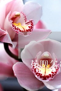 花呗欠800多逾期一个月 花呗欠800多逾期一个月