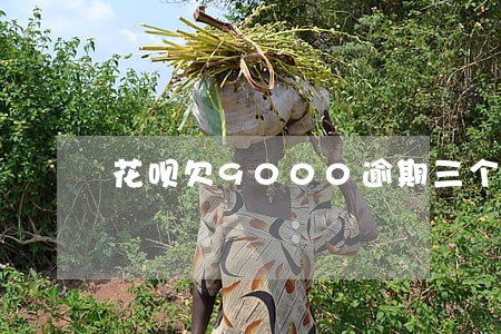 花呗欠9000逾期三个月